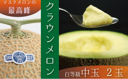 クラウンメロン中玉（白等級）２玉詰 果物類 メロン青肉 約1.3kg 