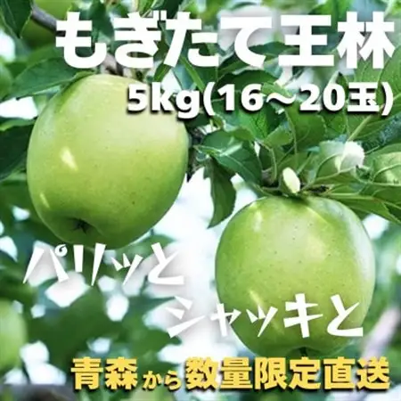 【青森ごのへ産】 パリッと、シャキッとした王林 約5kg(16～20玉)【配送不可地域：離島・沖縄県・中国・四国・九州】【1051220】