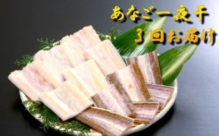 【定期便】あなご一夜干3回お届け定期便【穴子 国産 一夜干し 干物 あなご 大田市 アナゴ】