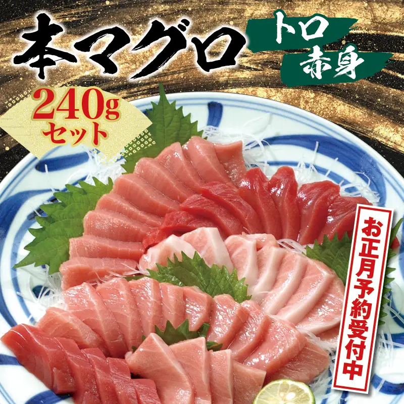 【お正月予約】本マグロ（養殖）トロ＆赤身セット 240g まぐろ【nks113-sg】