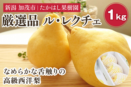 【2026年先行予約】たかはし果樹園 謹製 新潟特産 幻の洋梨ル・レクチェ 厳選品 約1kg 《11月下旬～順次配送》