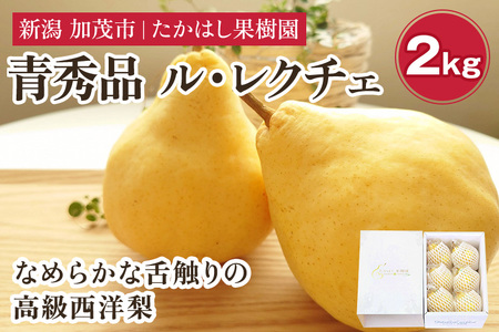 【2026年先行予約】たかはし果樹園 謹製 新潟特産 幻の洋梨ル・レクチェ 青秀品 約2kg 《11月下旬～順次配送》