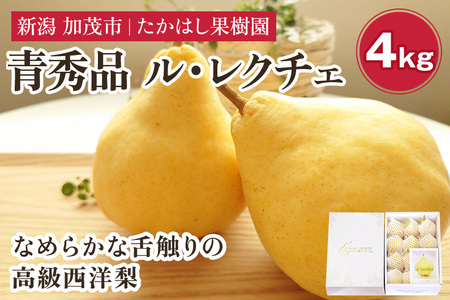 【2026年先行予約】たかはし果樹園 謹製 新潟特産 幻の洋梨ル・レクチェ 青秀品 約4kg 《11月下旬～順次配送》