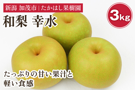 【2026年先行予約】たかはし果樹園 謹製 新潟県産和梨 幸水 約3kg《8月中旬～順次配送》こうすい