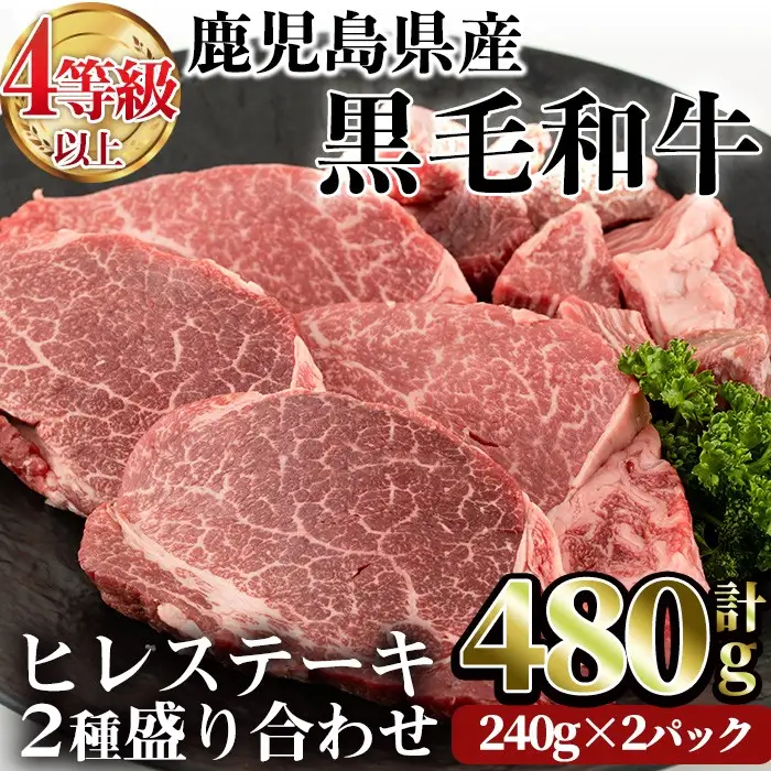 鹿児島県産 黒毛和牛 (4～5等級)ヒレ ステーキ 2種盛り(合計480g・240g×2パック) 牛肉 赤身 国産【LRプラスK】A231-v01