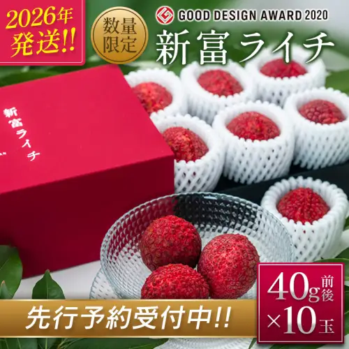 ［2026年発送］先行予約 希少！国産＜新富ライチ＞40g前後×10玉 国産 ブランド フルーツ 果物 贈答品【B120-26】