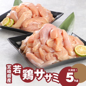 宮崎県産若鶏ささみ　1kg×5パック  K16_0045_2