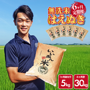 SI0066　【6回定期便】無洗米はえぬき　5kg×6回(計30kg)　農家直送『いいあん米』AG