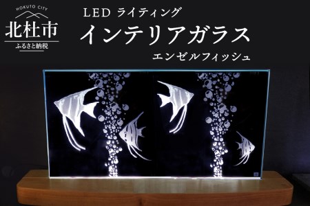 ＬＥＤライティング　インテリアガラス「エンゼルフィッシュ」 [h011]