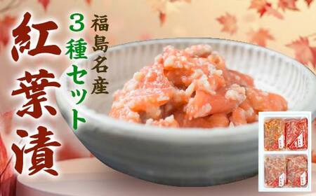 福島名産 阿武隈の紅葉漬 紅鮭入り （鮭の米麹漬け） 440g 福島県 伊達市 東北 鮭 さけ サケ しゃけ シャケ 発酵食品 F20C-019