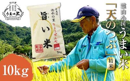 JGAP認証 新米 令和7年産米 霊山小国うまい米 天のつぶ 10kg 精米 白米 F20C-259