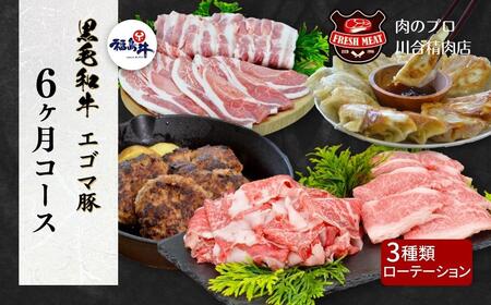 【6回定期便】2種×6回 肉 黒毛和牛 エゴマ豚 牛肉 福島県 田村市