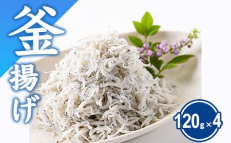 江の島名物釜揚げしらす 480g （120g×4）【 とびっちょしらす 】