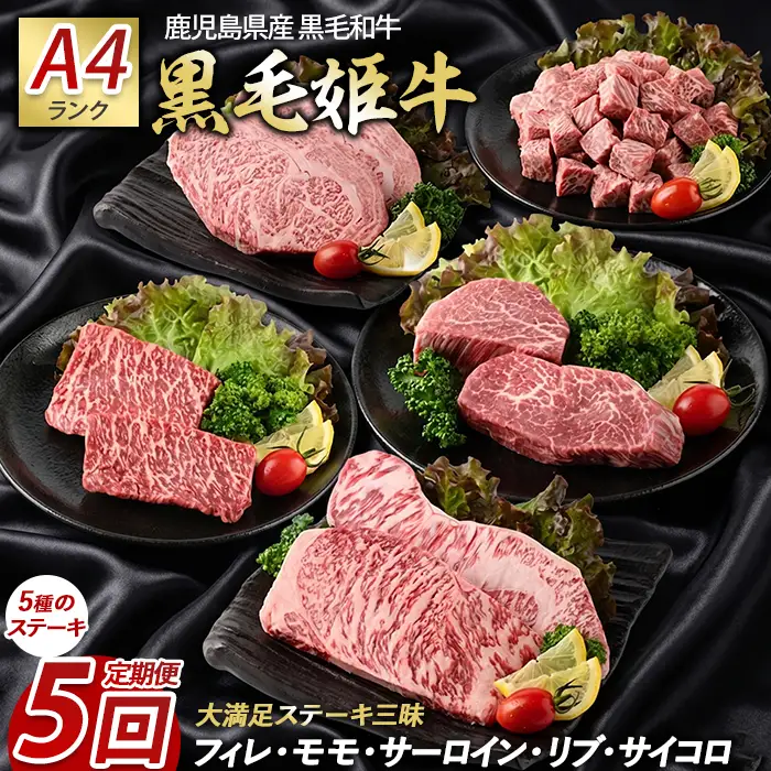 全5回定期便 大満足 ステーキ三昧 定期便 Meat you IBZ029-001 牛肉