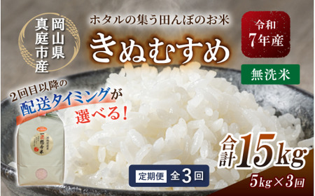 ＜定期便全３回＞ 令和7年産 きぬむすめ 無洗米 ５kg 【tkns-tkb019-cho】