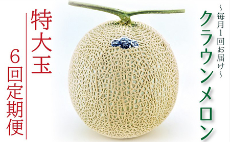 クラウンメロン特大玉　1玉　【6ヶ月定期便】【配送不可：離島】 果物類 メロン青肉 フルーツ ６回 