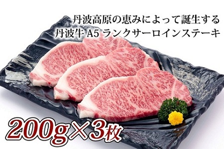 【京丹波・丹波牛】 A5ランク サーロインステーキ 200g×3枚 【2026年1月中旬以降発送】  [050IZ001]