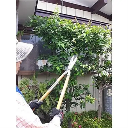 あんしん空き家管理サービス_ 地域サービス  _【1079120】