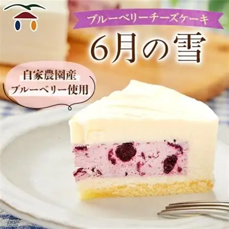 ブルーベリーチーズケーキ　6月の雪_菓子・スイーツ ケーキ  _【配送不可地域：離島】【1082307】