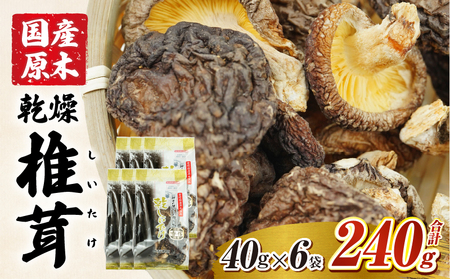 乾燥しいたけ 40g×6袋 240g　椎茸 小分け パック 小袋 個包装 個別包装 出汁取り 使い切り 使い勝手 普段使い お吸い物 きのこ キノコ類 干ししいたけ 乾しいたけ 原木栽培 乾燥しいたけ 常温 グルメ お取り寄せ おすすめ 宮崎県 高千穂町 _Tk004-039