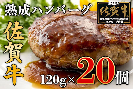 佐賀牛入り 熟成 ハンバーグ 約120g×20個 179-J1885