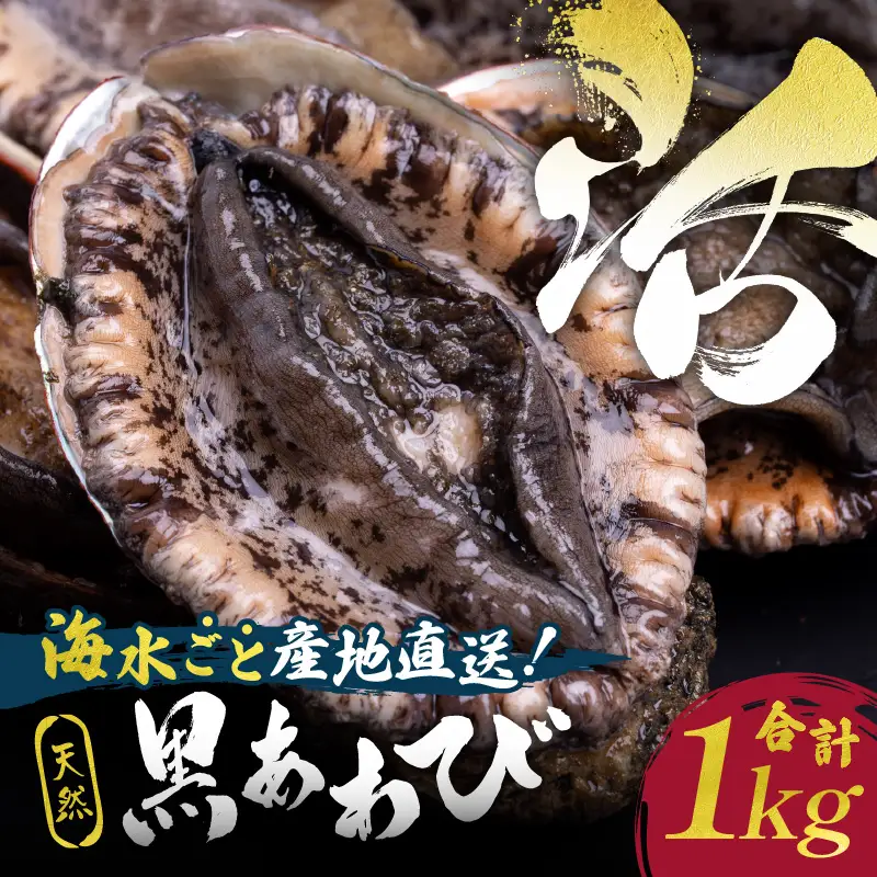 天然黒あわび合計1kg！活けあわび｜鮑