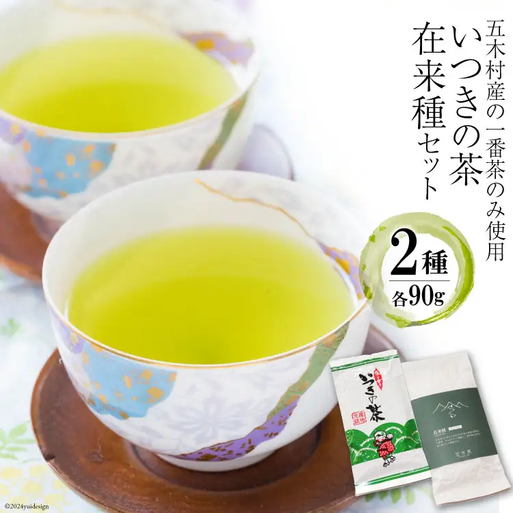 お茶 いつきの茶・在来種セット [松井製茶工場 熊本県 五木村 51120288]