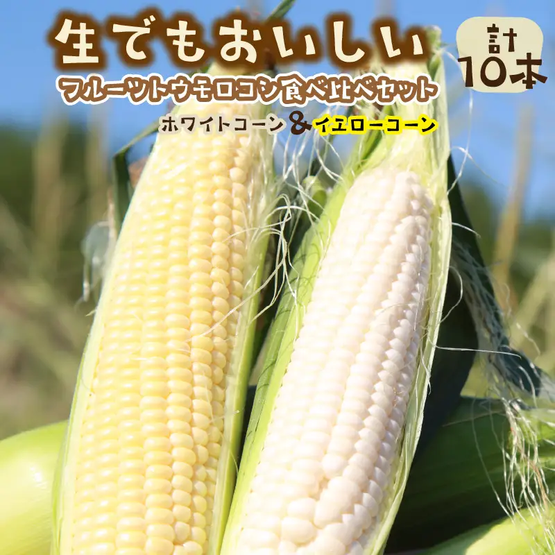 【先行予約】とうもろこし 食べ比べ 計10本 トウモロコシ