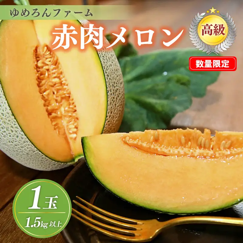 【数量限定100】ゆめろんファームの赤肉メロン（2026年6月上旬～発送） 国産 高級メロン 贈答 贈答品 贈り物 ふるさと 納税 メロン 赤肉 1玉 ふるさと納税 期間限定 ふるさと 納税 フルーツ くだもの 果物