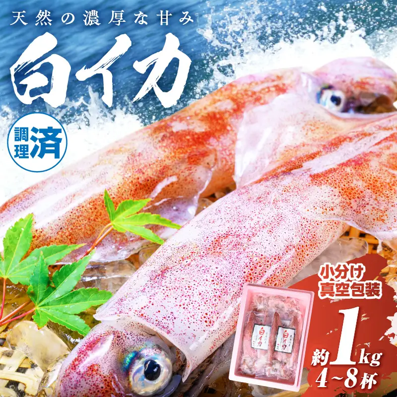 白イカケンサキ正味1kg しろいか