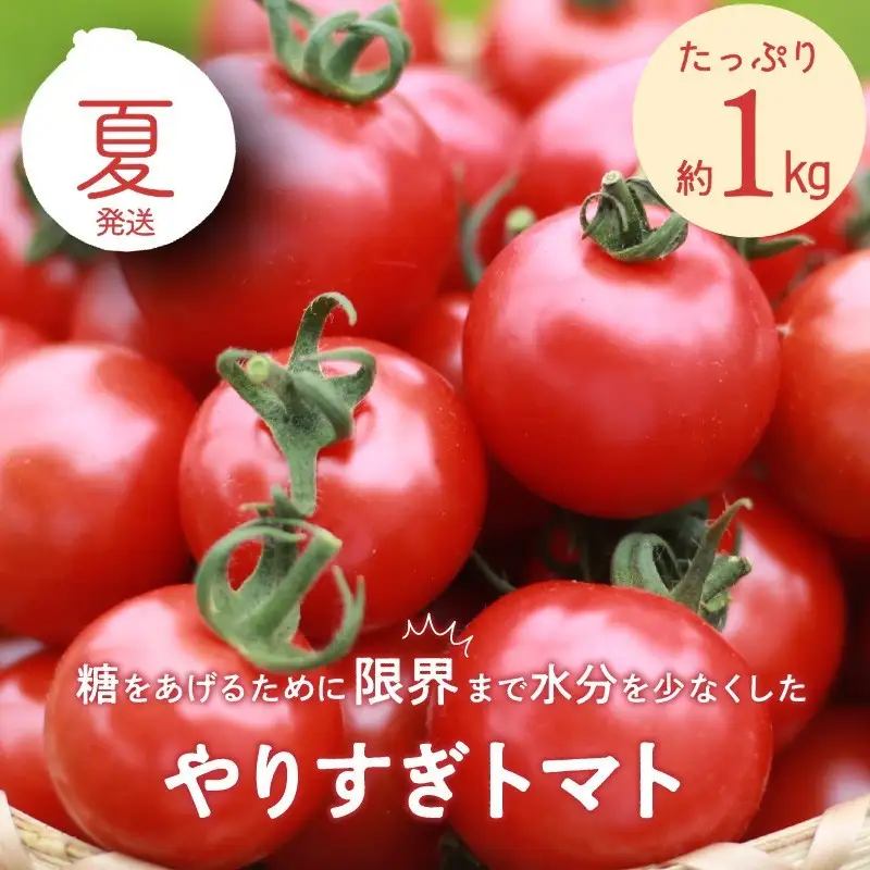 高糖度やりすぎトマト 約1kg | 夏発送 トマト