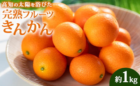 【先行受付】きんかん 約1kg 完熟 きんかん ku-0032