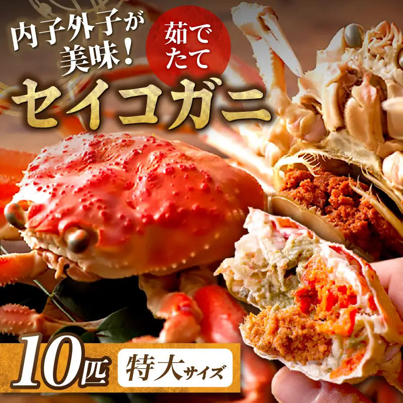【蟹の匠 魚政】内子外子が美味! 茹でたて セイコガニ（セコ蟹）（香箱ガニ）（こっぺ）特大サイズ 10匹セット