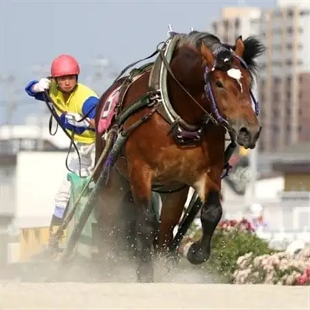 【北海道帯広】世界にたったひとつ!ばんえい競馬　個人冠協賛レース_ 地域サービス  _【1205457】