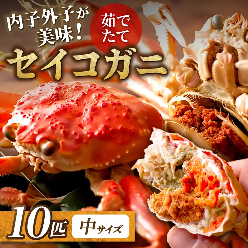 【蟹の匠 魚政】内子外子が美味! 茹でたて セイコガニ（セコ蟹）（香箱ガニ）（こっぺ）中サイズ 10匹セット