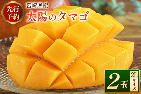 ＜数量限定＞完熟マンゴー「太陽のタマゴ」2Lサイズ 2玉 宮崎県産 先行予約 ブランド フルーツ 果物 ギフト【C218-26】