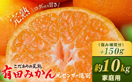 コク旨☆完熟有田みかん　10キロ こだわりの完熟 有田みかん 10kg＋150g(傷み補償分)｜ みかん | 和歌山