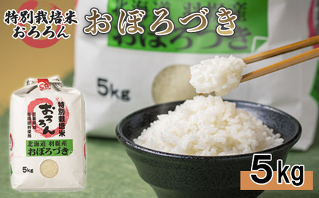 【2025年産】 北海道羽幌産 特別栽培米 おぼろづき5kg【0811802】
