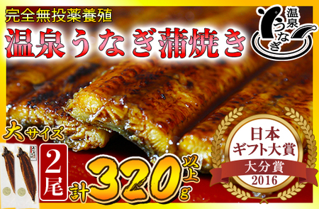 温泉うなぎ蒲焼 2尾（160gサイズ） 国産 九州 うな丼 うな重 鰻 完全無投薬 ギフト 土用の丑の日 ＜104-011＞