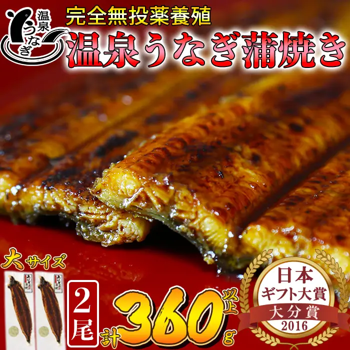 温泉うなぎ 蒲焼 2尾（180gサイズ）【大分水産】 国産 完全無投薬 うなぎ 九州 大分県 うな丼 うな重 冷凍 鰻 ギフト 受賞 特大 土用の丑の日 スタミナ 夏バテ ＜104-015＞