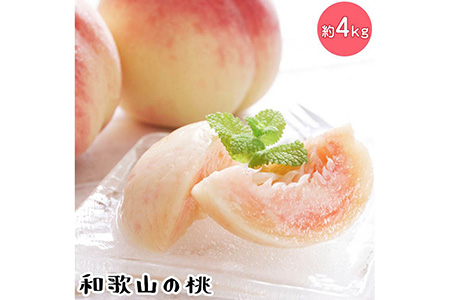 【先行予約】【夏の美味】フルーツ王国 和歌山の桃 約4kg 化粧箱入り | もも モモ （fr-07）