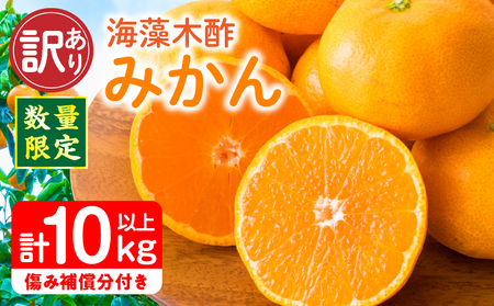 訳あり 数量限定 海藻木酢みかん 計 10kg 以上 傷み補償分入り フルーツ 果物_BBV4-25