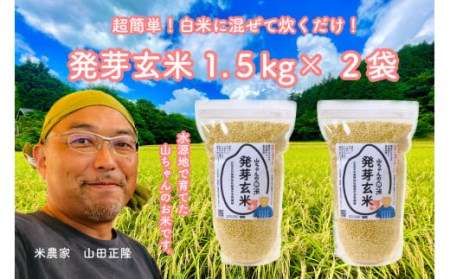 農家直送『山ちゃんの発芽玄米』1500g ×２袋