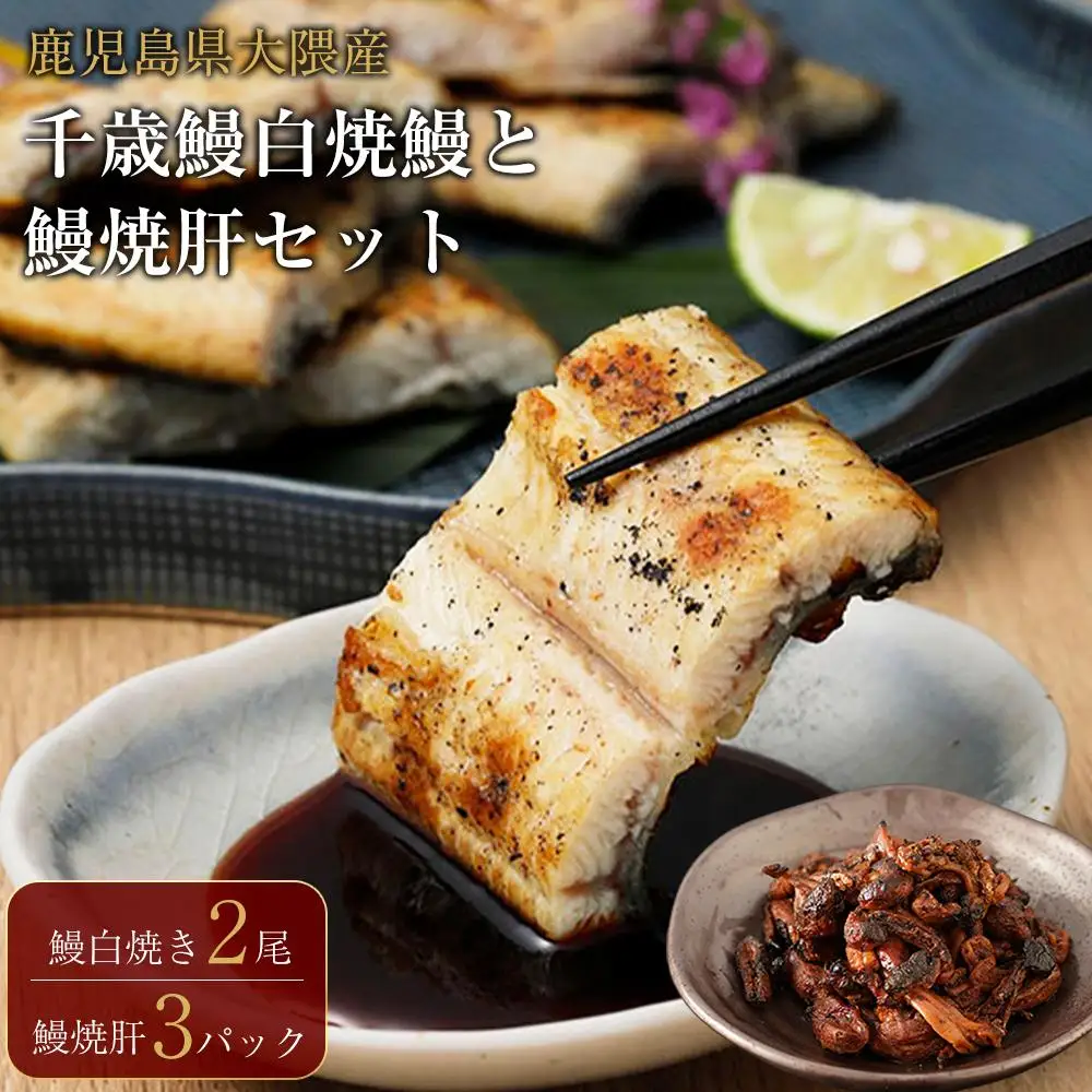 鹿児島県大隅産 千歳鰻の 白焼鰻　2尾・鰻焼肝セット｜うなぎ うなぎ