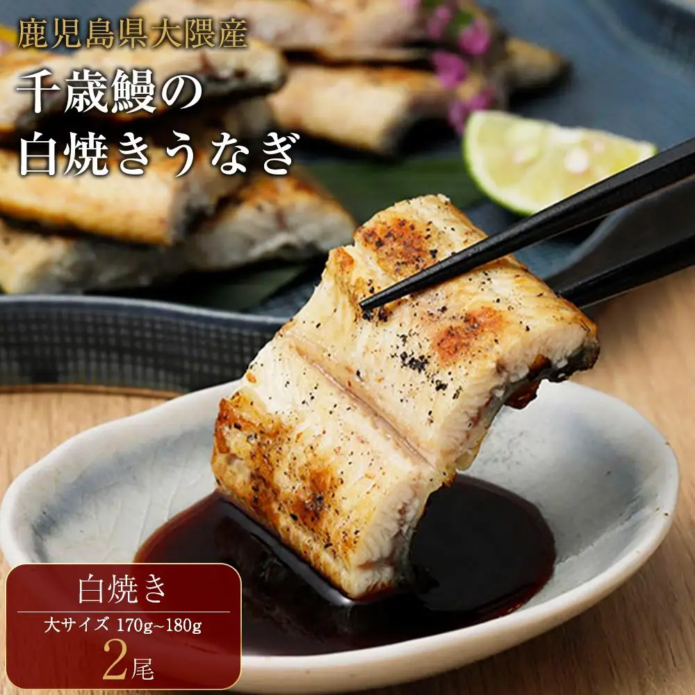 鹿児島県大隅産 千歳鰻の 白焼鰻「大」2尾｜うなぎ うなぎ