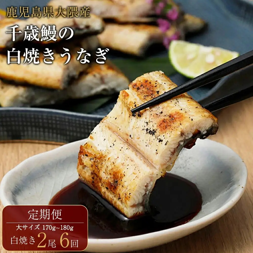 【定期便】鹿児島県大隅産　千歳鰻の 白焼鰻 「大」2尾×6回｜うなぎ うなぎ