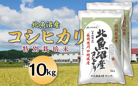 7T10A-1北魚沼産コシヒカリ特別栽培米10kg（長岡川口地域）【2026年7月発送】