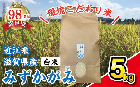 令和7年産 みずかがみ 白米 5kg 環境こだわり米【K124W】 近江米