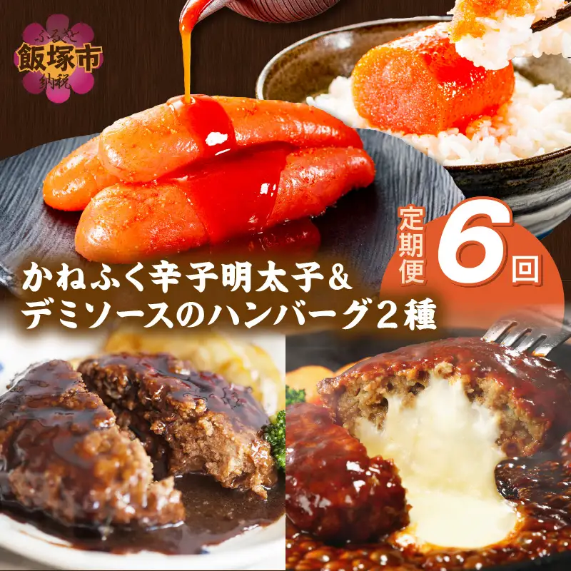 かねふく辛子明太子&デミソースのハンバーグ2種セット【隔月定期便(計6回発送)】【J01-001】