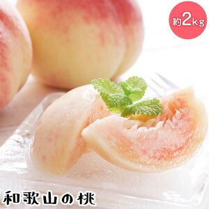 【先行予約】【夏の美味】フルーツ王国 和歌山の桃 約2kg 化粧箱入り | もも （fr-06）